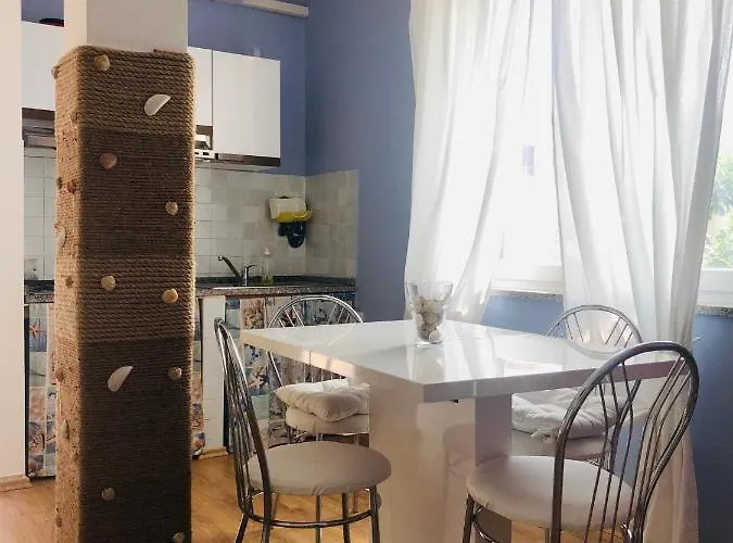 Silvio Apartman Funtana