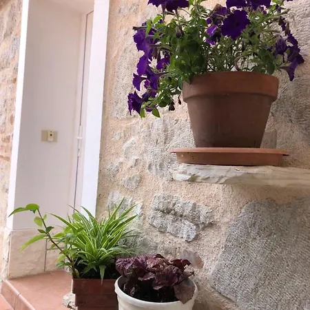 Silvio Apartman Funtana