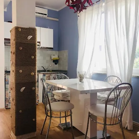 Silvio Apartman Funtana