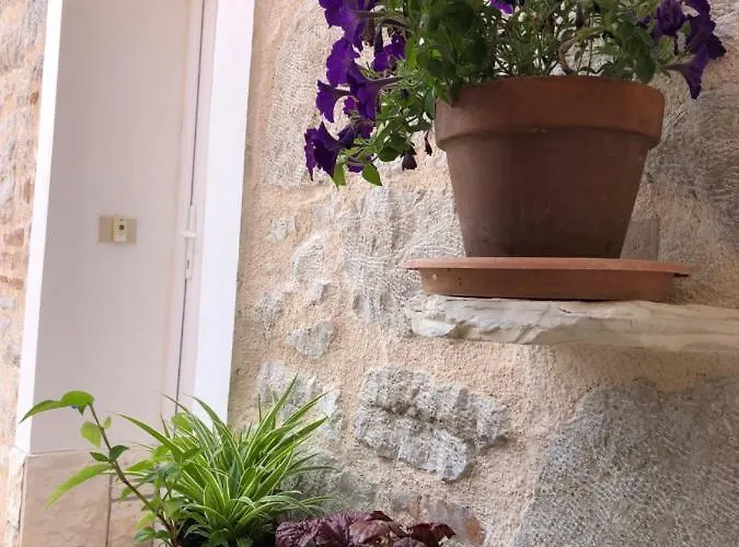 Silvio Appartement Funtana